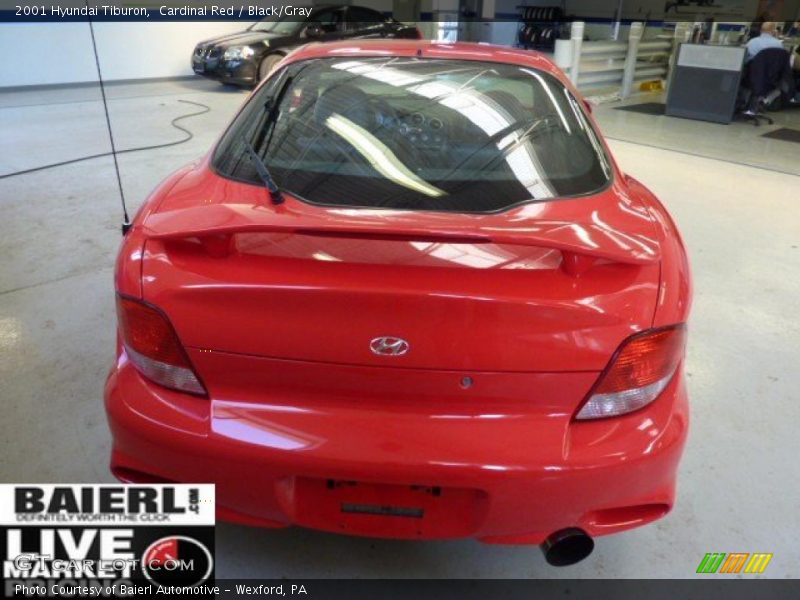 Cardinal Red / Black/Gray 2001 Hyundai Tiburon