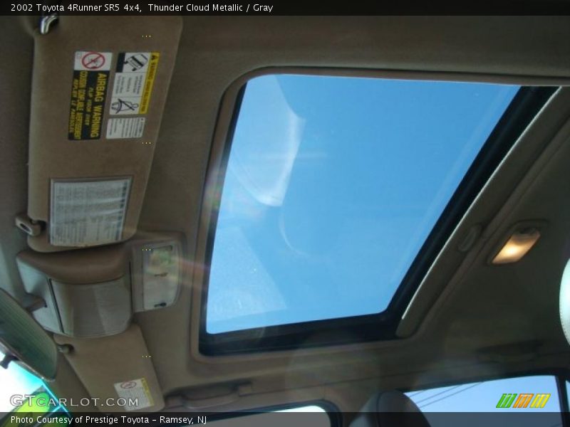 Thunder Cloud Metallic / Gray 2002 Toyota 4Runner SR5 4x4