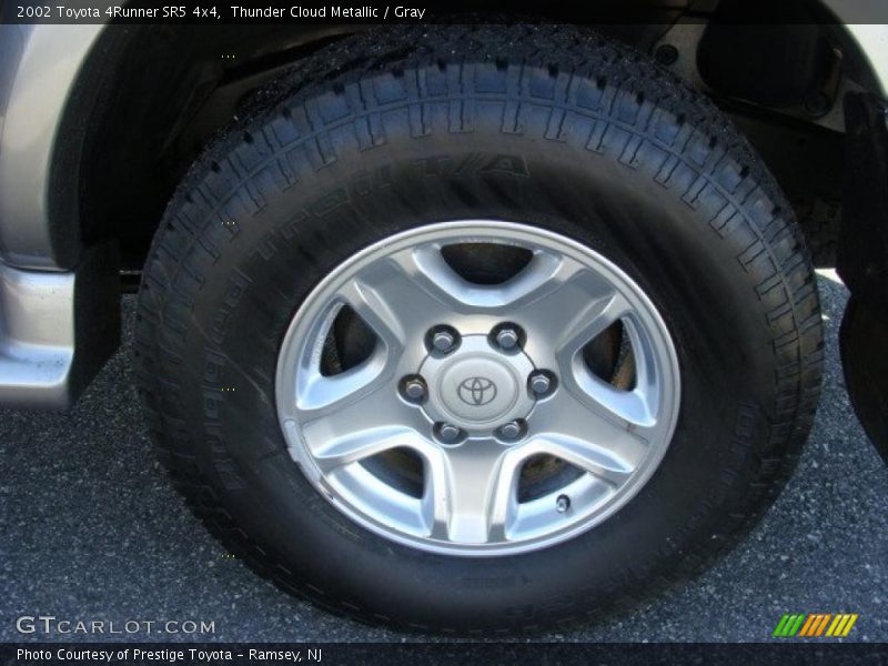 Thunder Cloud Metallic / Gray 2002 Toyota 4Runner SR5 4x4
