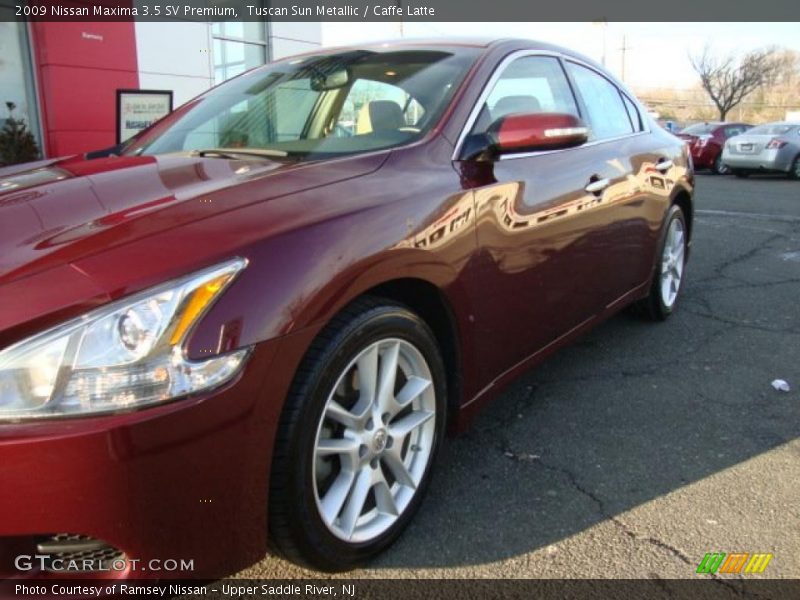 Tuscan Sun Metallic / Caffe Latte 2009 Nissan Maxima 3.5 SV Premium