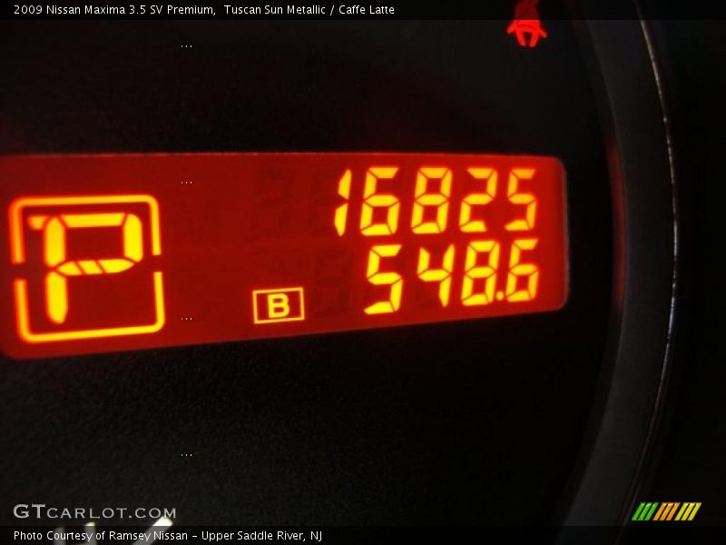 Tuscan Sun Metallic / Caffe Latte 2009 Nissan Maxima 3.5 SV Premium