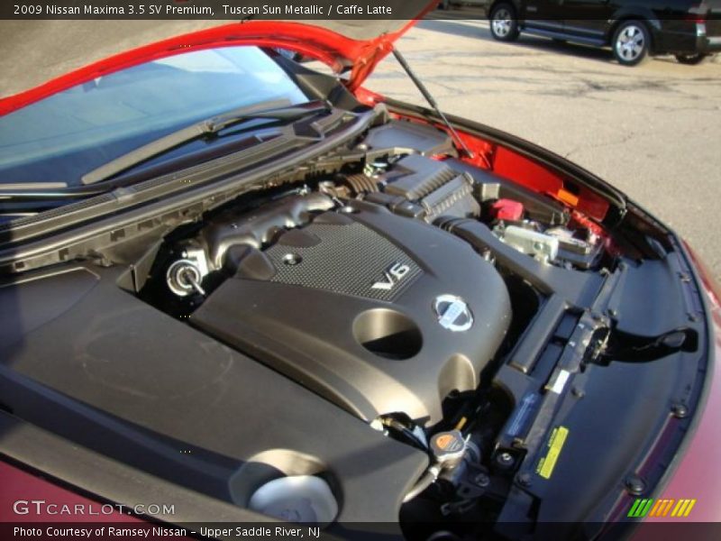 Tuscan Sun Metallic / Caffe Latte 2009 Nissan Maxima 3.5 SV Premium