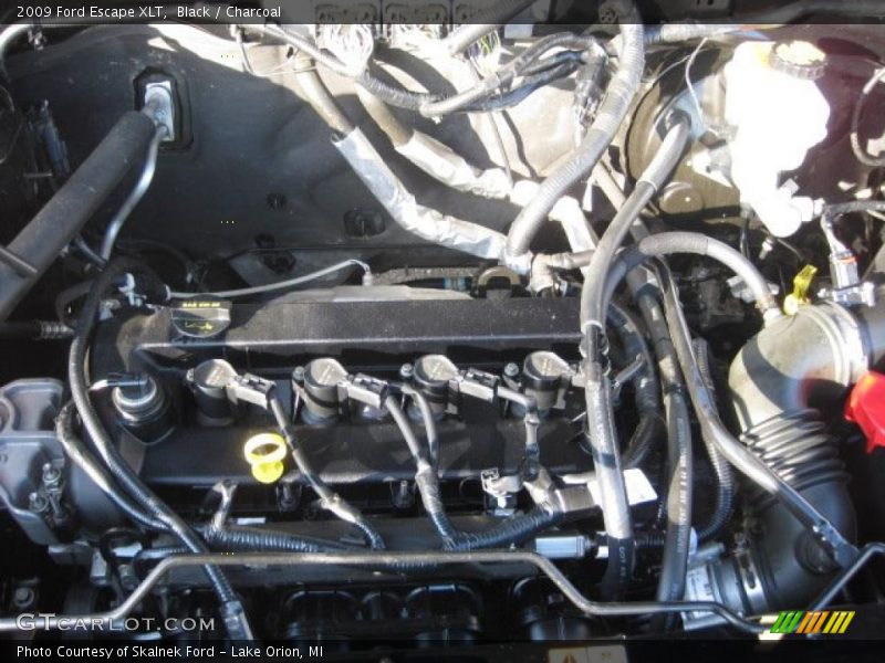 Black / Charcoal 2009 Ford Escape XLT