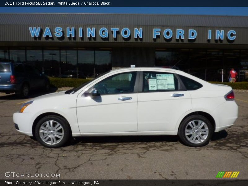 White Suede / Charcoal Black 2011 Ford Focus SEL Sedan