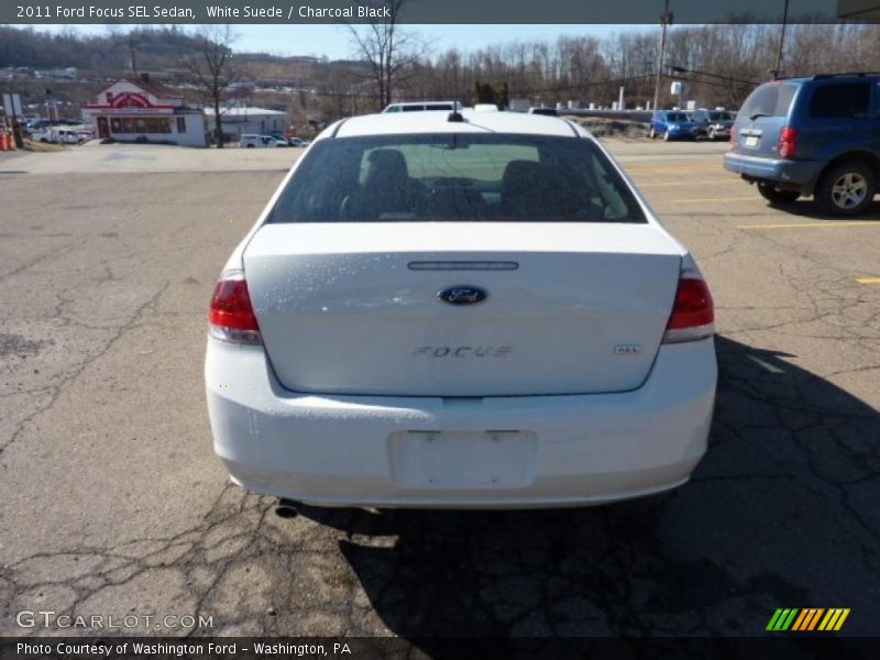 White Suede / Charcoal Black 2011 Ford Focus SEL Sedan