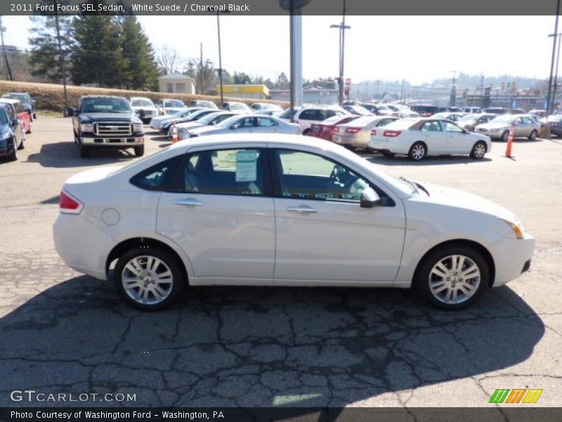 White Suede / Charcoal Black 2011 Ford Focus SEL Sedan