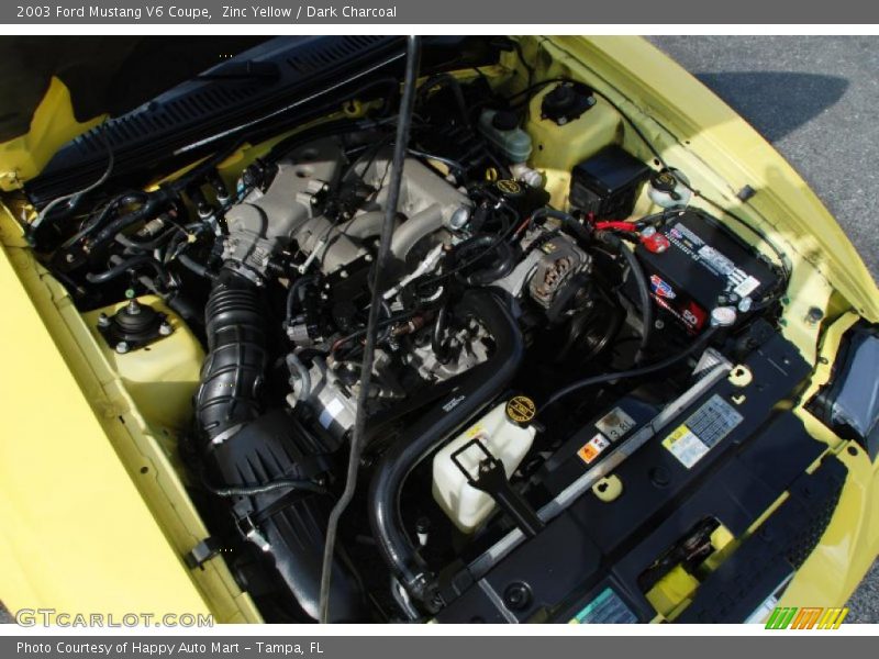 Zinc Yellow / Dark Charcoal 2003 Ford Mustang V6 Coupe