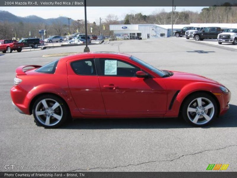 2004 RX-8  Velocity Red Mica