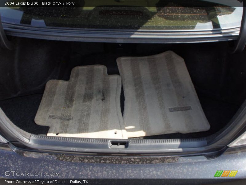 Black Onyx / Ivory 2004 Lexus IS 300