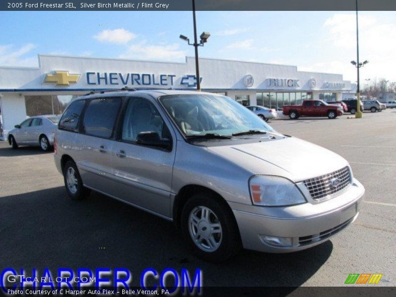 Silver Birch Metallic / Flint Grey 2005 Ford Freestar SEL