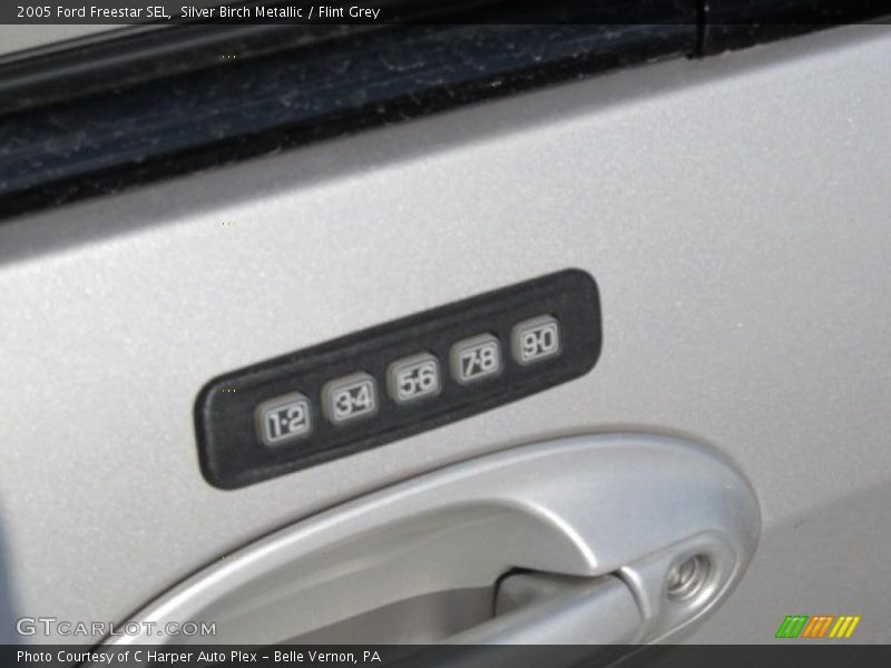 Silver Birch Metallic / Flint Grey 2005 Ford Freestar SEL