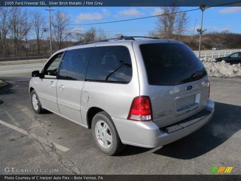Silver Birch Metallic / Flint Grey 2005 Ford Freestar SEL