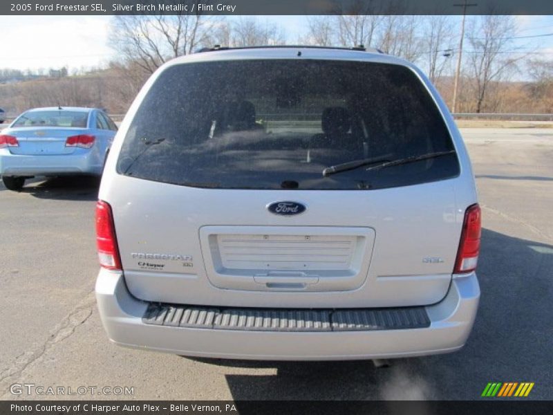 Silver Birch Metallic / Flint Grey 2005 Ford Freestar SEL