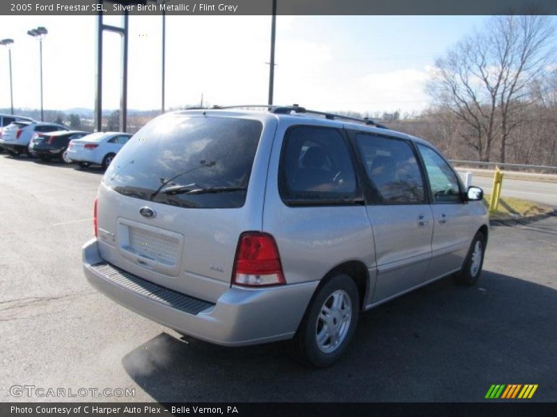 Silver Birch Metallic / Flint Grey 2005 Ford Freestar SEL
