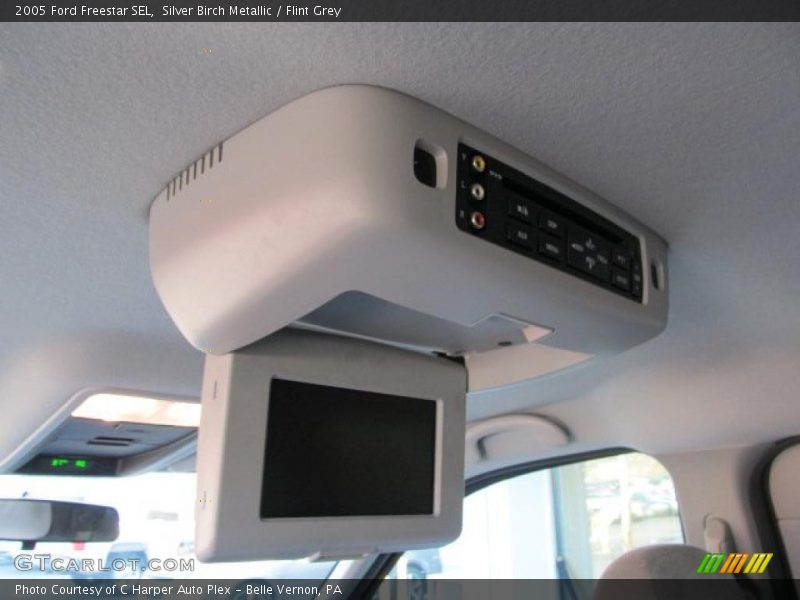Silver Birch Metallic / Flint Grey 2005 Ford Freestar SEL