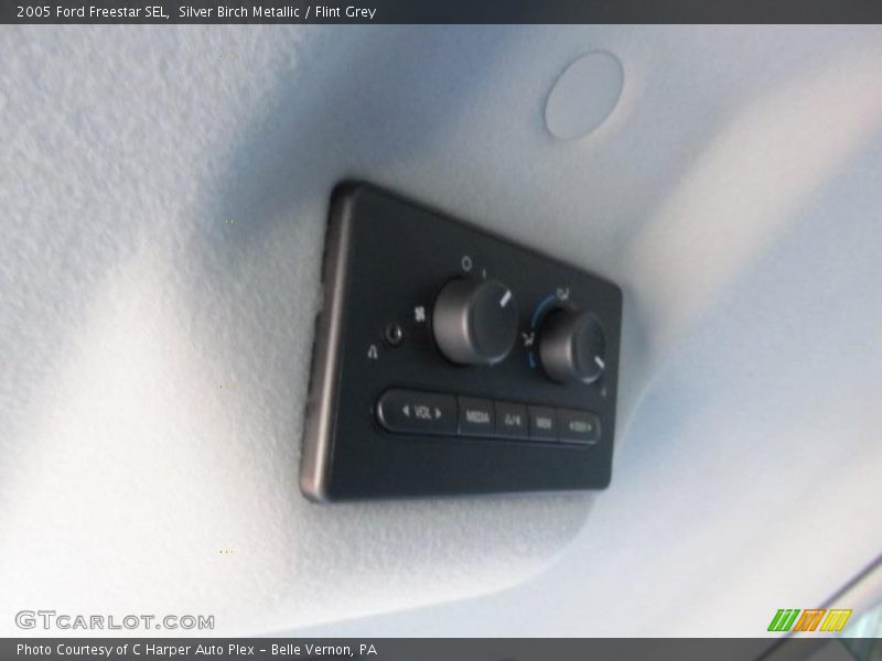 Silver Birch Metallic / Flint Grey 2005 Ford Freestar SEL
