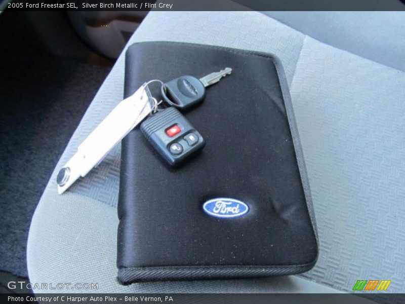 Silver Birch Metallic / Flint Grey 2005 Ford Freestar SEL