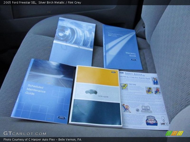 Silver Birch Metallic / Flint Grey 2005 Ford Freestar SEL