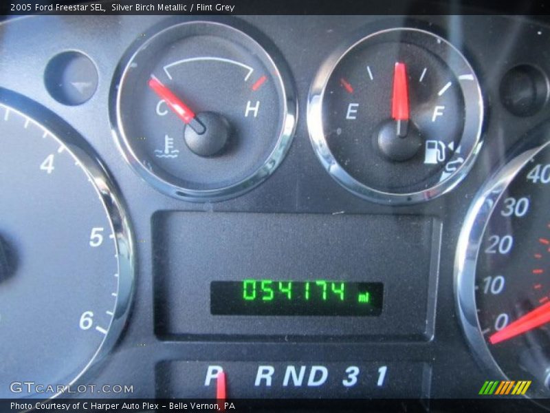 Silver Birch Metallic / Flint Grey 2005 Ford Freestar SEL