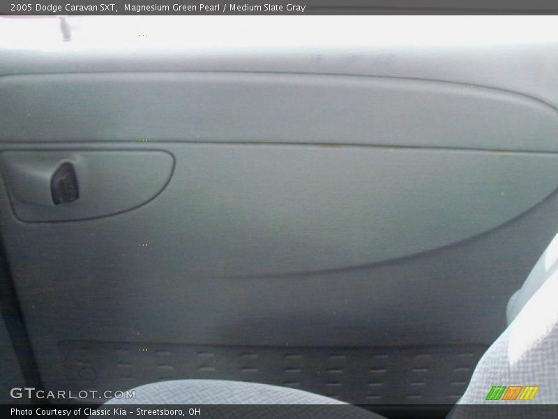 Magnesium Green Pearl / Medium Slate Gray 2005 Dodge Caravan SXT