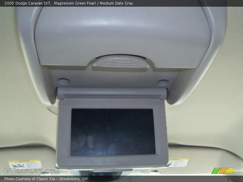 Magnesium Green Pearl / Medium Slate Gray 2005 Dodge Caravan SXT