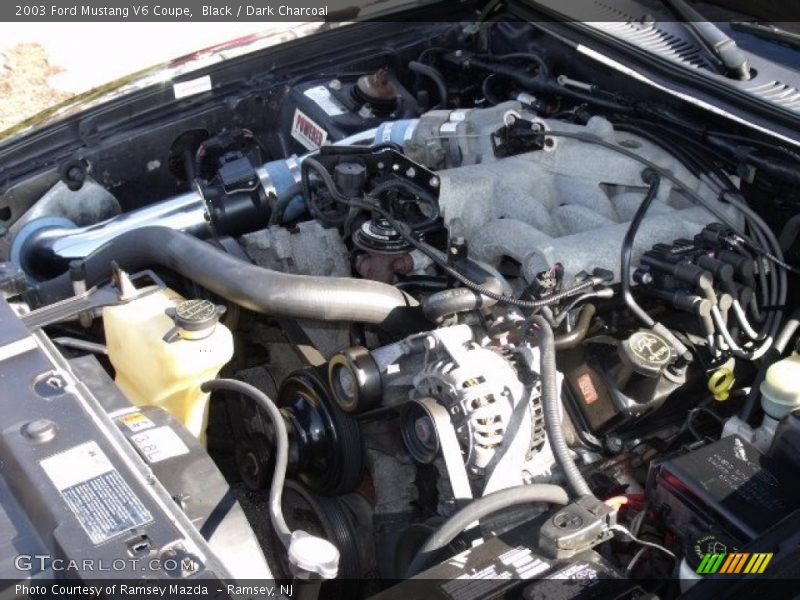 Black / Dark Charcoal 2003 Ford Mustang V6 Coupe
