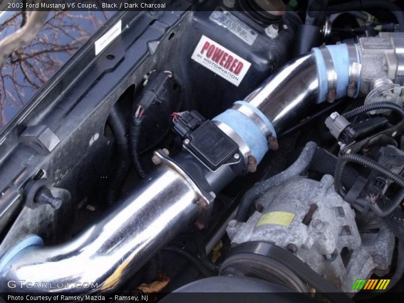 Black / Dark Charcoal 2003 Ford Mustang V6 Coupe