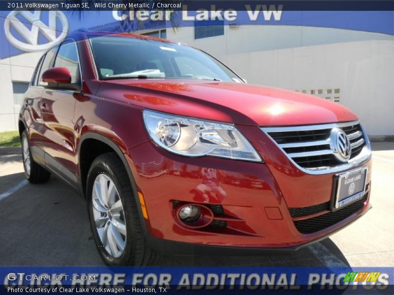 Wild Cherry Metallic / Charcoal 2011 Volkswagen Tiguan SE