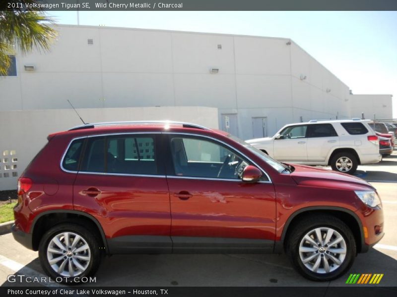  2011 Tiguan SE Wild Cherry Metallic