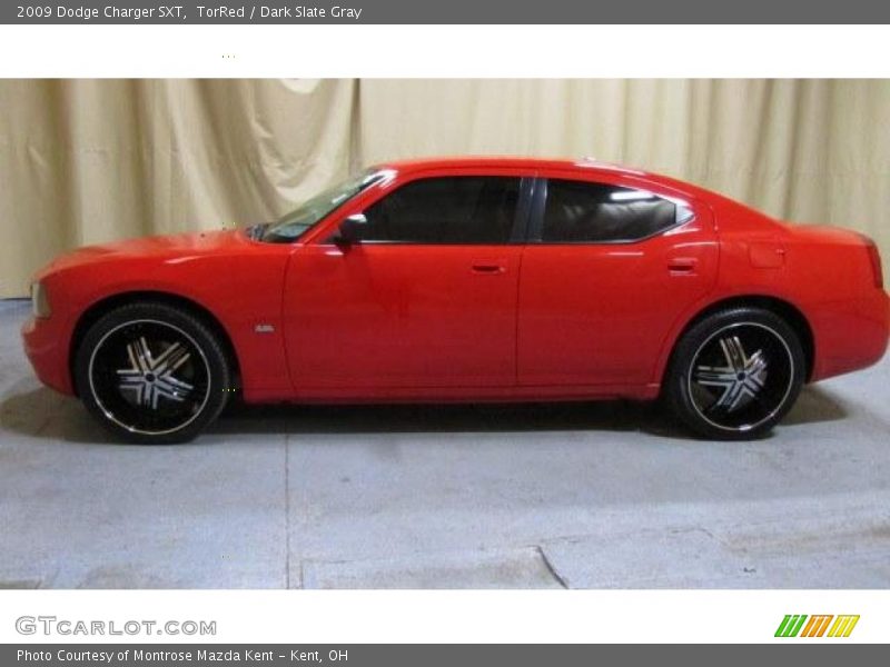 TorRed / Dark Slate Gray 2009 Dodge Charger SXT