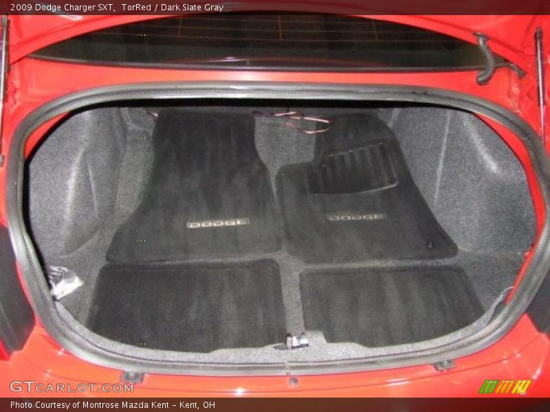 TorRed / Dark Slate Gray 2009 Dodge Charger SXT