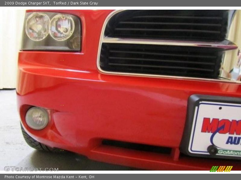 TorRed / Dark Slate Gray 2009 Dodge Charger SXT