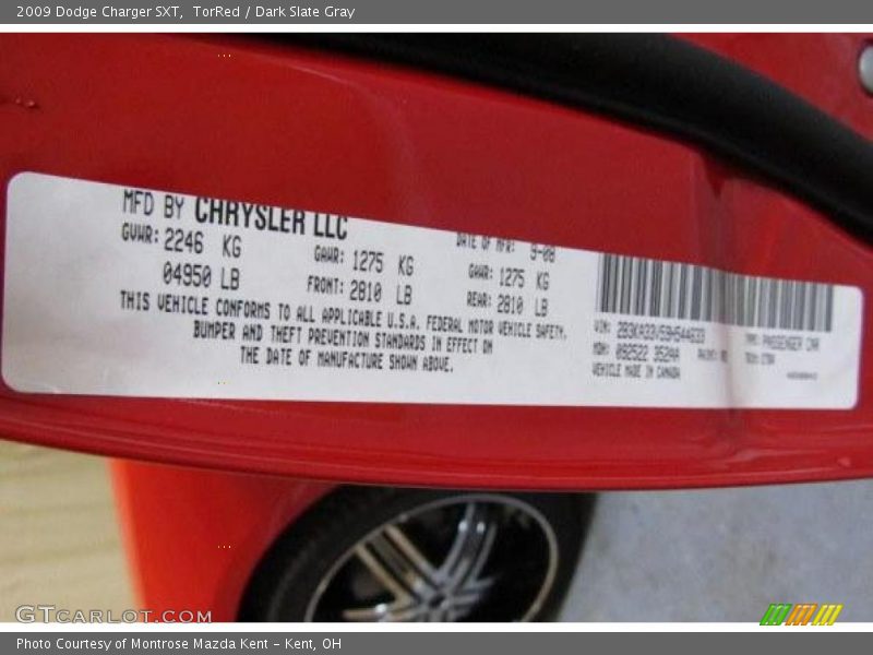 TorRed / Dark Slate Gray 2009 Dodge Charger SXT