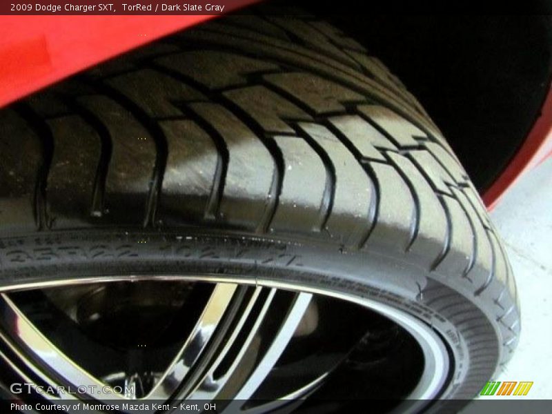 TorRed / Dark Slate Gray 2009 Dodge Charger SXT