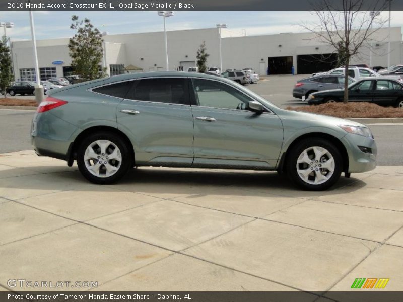  2010 Accord Crosstour EX-L Opal Sage Metallic