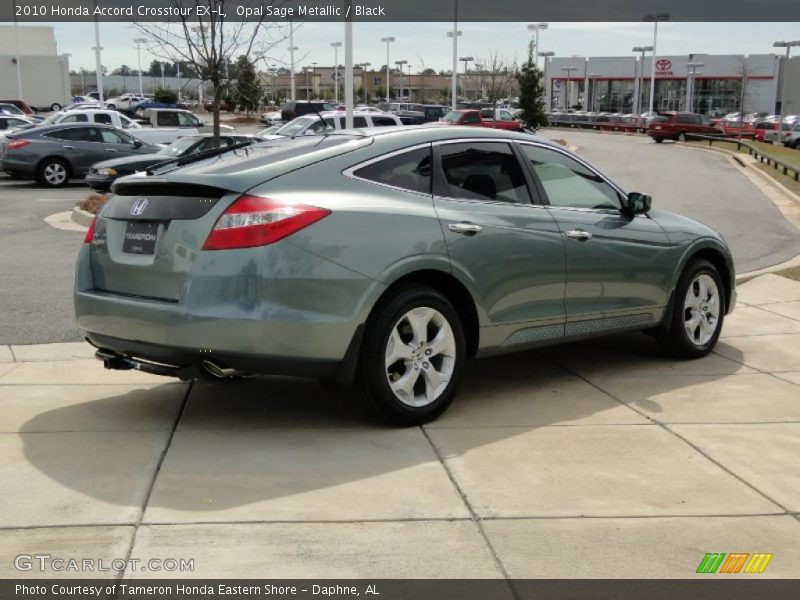 Opal Sage Metallic / Black 2010 Honda Accord Crosstour EX-L