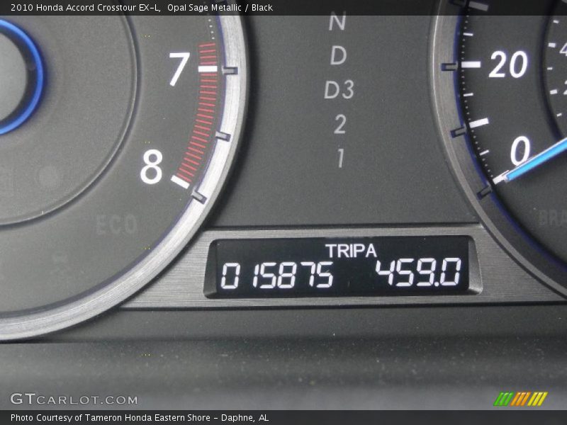 Opal Sage Metallic / Black 2010 Honda Accord Crosstour EX-L