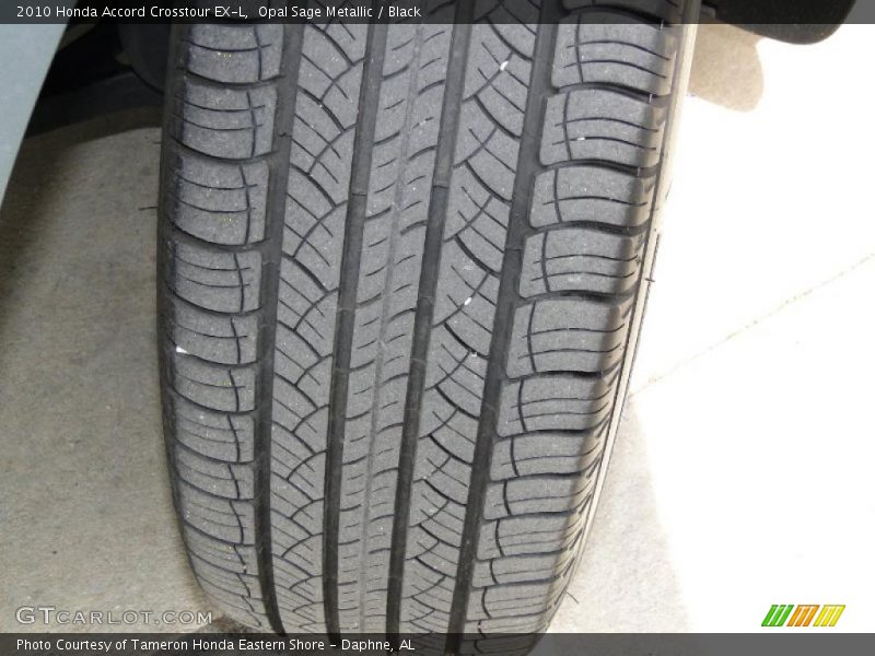 Opal Sage Metallic / Black 2010 Honda Accord Crosstour EX-L