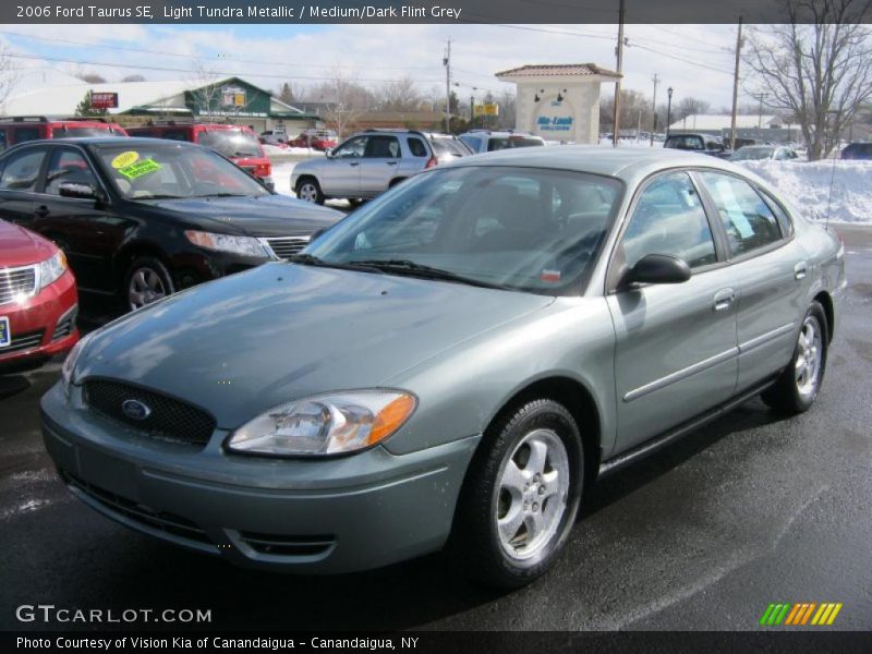 Light Tundra Metallic / Medium/Dark Flint Grey 2006 Ford Taurus SE