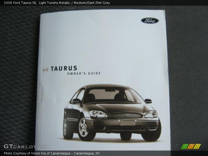 Light Tundra Metallic / Medium/Dark Flint Grey 2006 Ford Taurus SE