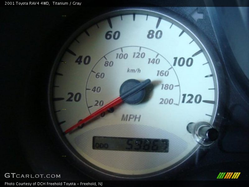 Titanium / Gray 2001 Toyota RAV4 4WD