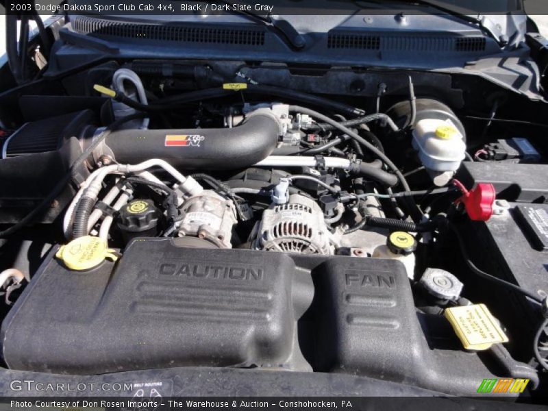 Black / Dark Slate Gray 2003 Dodge Dakota Sport Club Cab 4x4