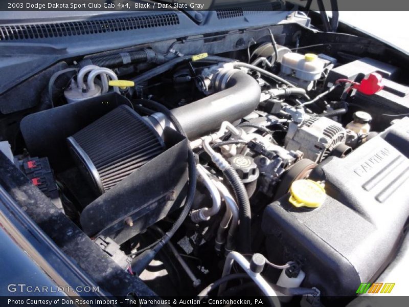 Black / Dark Slate Gray 2003 Dodge Dakota Sport Club Cab 4x4
