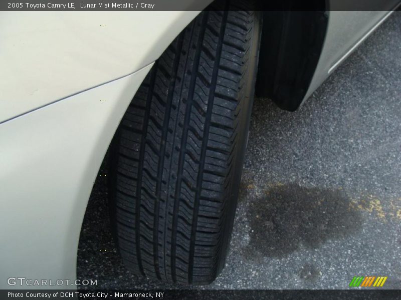 Lunar Mist Metallic / Gray 2005 Toyota Camry LE
