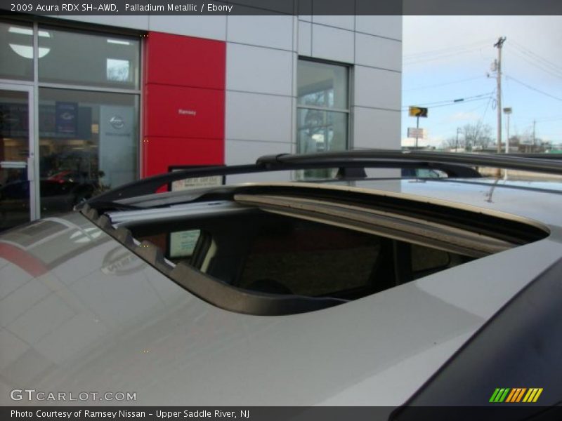 Palladium Metallic / Ebony 2009 Acura RDX SH-AWD