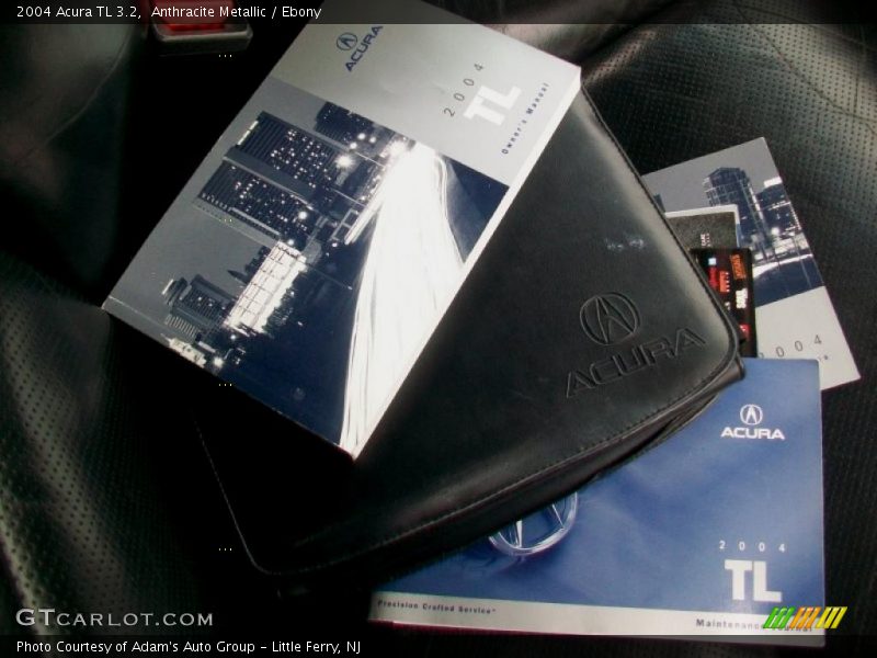 Anthracite Metallic / Ebony 2004 Acura TL 3.2
