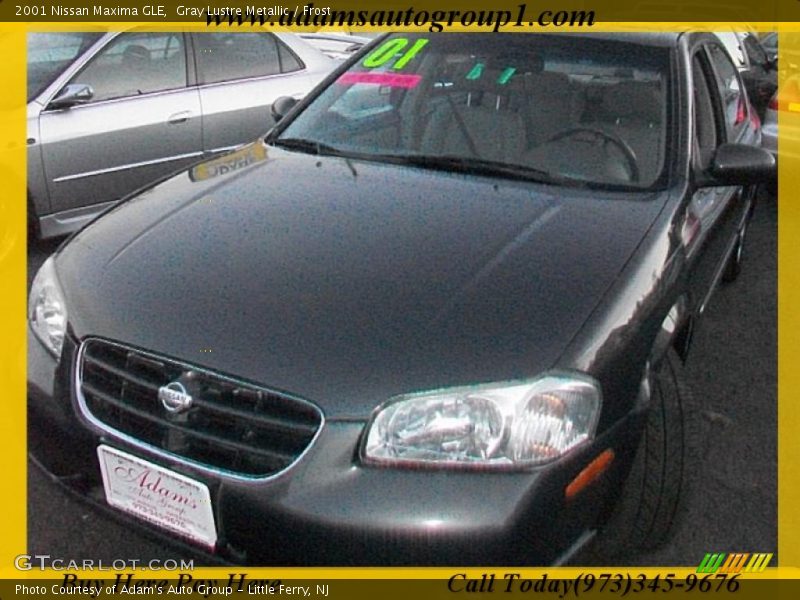 Gray Lustre Metallic / Frost 2001 Nissan Maxima GLE