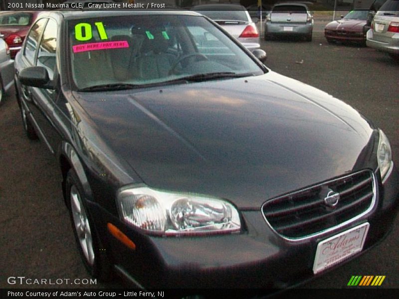 Gray Lustre Metallic / Frost 2001 Nissan Maxima GLE