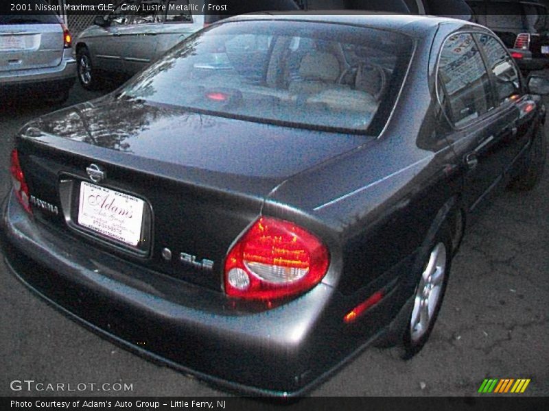 Gray Lustre Metallic / Frost 2001 Nissan Maxima GLE