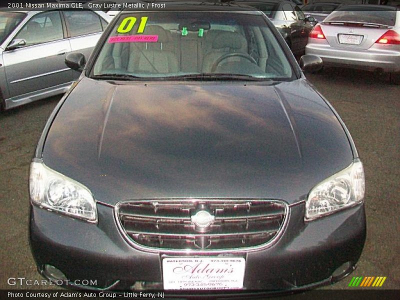 Gray Lustre Metallic / Frost 2001 Nissan Maxima GLE